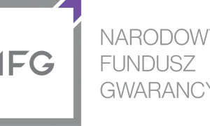 Narodowy fundusz gwarancyjny – kluczowe informacje i funkcje dla przedsiębiorców