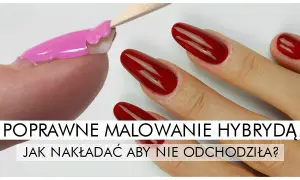 Co zrobić, żeby hybryda nie odpadała? 7 skutecznych porad