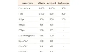 Ile zarabia sędzia piłkarski UEFA? Zaskakujące wynagrodzenia i czynniki wpływające na pensję