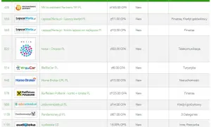 Ile można zarobić na własnej stronie internetowej? Szokujące fakty i liczby.