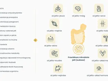 Grafika ilustruje osie komunikacji między jelitami a innymi organami, podkreślając znaczenie prawidłowej mikrobioty jelitowej dla zdrowia. Dysbioza jelitowa może wpływać na płuca, mózg, serce i inne układy.