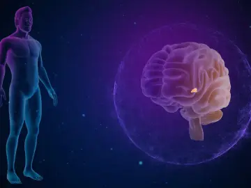Anatomical illustration showing a human silhouette and a brain. A highlighted area within the brain indicates a torbiel szyszynki.