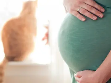 Brzuszek w 19 tygodniu ciąży, otoczony troską przyszłej mamy i ciekawością rudego kota.