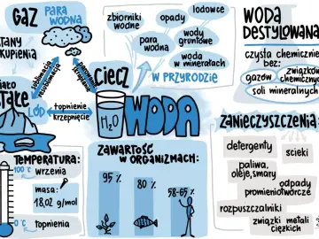 Sketchnoting o wodzie: stany skupienia, cykl w przyrodzie, zawartość w organizmach, zanieczyszczenia i woda destylowana.