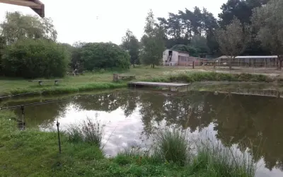 Spokojne łowisko nowe marzy o złowieniu okazałej ryby. Woda odbija drzewa, a w tle widać budynki i las.