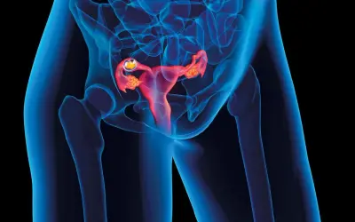 Widok anatomiczny ukazujący macicę w ciąży z widocznym zarodkiem w jajowodzie.