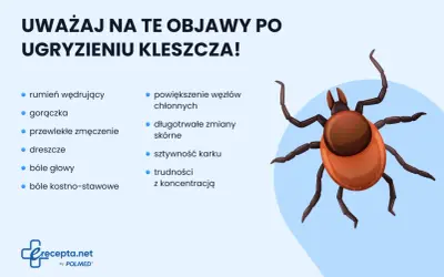 Ugryzienie kleszcza: objawy boreliozy i KZM. Sprawdź, co robić!