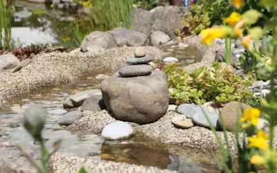 Un aménagement ruisseau naturel avec des galets empilés, des plantes succulentes et des fleurs jaunes. L'eau reflète le ciel.