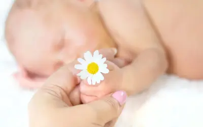 Un neonato dorme serenamente, mentre una mano adulta tiene delicatamente un fiore di camomilla, simbolo di dolcezza e cura per bambini.