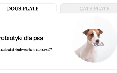 Jack Russell terrier z blistrem tabletek w pysku. Dowiedz się, jakie suplementy dla psa są najlepsze.
