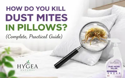 Learn how to get dust mites out of pillows with this guide. Magnified image shows a dust mite on a pillow, with a spray bottle nearby.