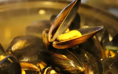 Moule normande c'est quoi ? Des moules cuites à la vapeur, ouvertes sur un jus doré. Un délice !