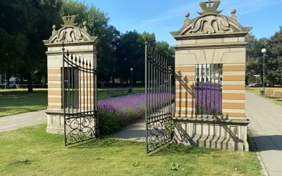 Otwarta brama w parku, z kwitnącą lawendą i ławkami w tle.