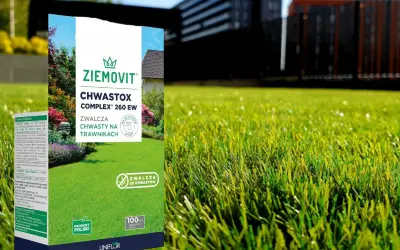 Chwastox Complex 260 EW dawkowanie: opakowanie środka do zwalczania chwastów na trawnikach, na tle zielonej trawy i budynków.