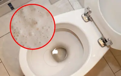 Piana w toalecie, która może świadczyć o działaniu drożdży do szamba.