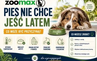 Pies nie chce jeść latem? Wysokie temperatury, mniejszy apetyt, problemy trawienne to przyczyny. Zadbaj o wodę i lekkostrawną karmę.