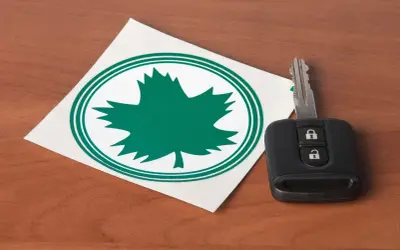 Zielony listek na aucie, symbol natury i wolności, obok kluczyka do samochodu.
