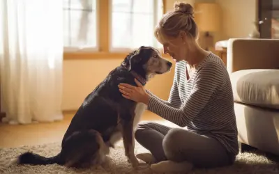 Mujer acaricia a su perro, un momento tierno antes de tener que sacrificar perro.