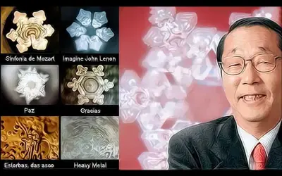 Masaru Emoto: Eksperyment z ryżem nauka czy magia?