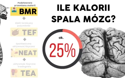 Czy rozciąganie spala kalorie? Poznaj fakty i prawdziwe korzyści!
