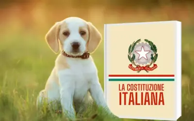 Un cucciolo di cane seduto sull'erba accanto a un libro intitolato "La Costituzione Italiana".