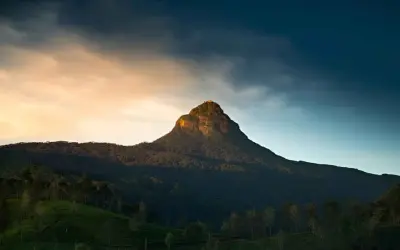 Adam's Peak reser sig majestätiskt mot en dramatisk himmel. Bergssluttningarna är täckta av frodig grönska och teodlingar.