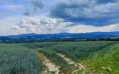 Atrakcje nad jeziorem Otmuchowskim, które musisz zobaczyć podczas wizyty