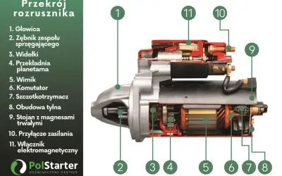 Przekrój rozrusznika ukazuje jego budowę: głowicę, zębnik, widełki, przekładnię planetarną, wirnik, komutator, szczotkotrzymacz, obudowę, stojan z magnesami, przyłącze zasilania i włącznik elektromagnetyczny.