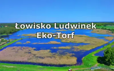 Łowisko Ludwinek Eko-Torf, malowniczy zbiornik wodny otoczony trzcinami i zielenią, idealne miejsce dla wędkarzy.