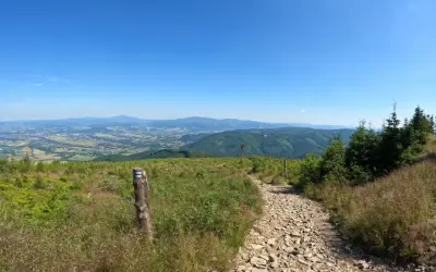 Kamienista ścieżka w Górach Świętokrzyskich. Idealne miejsce na spokojne wędrówki, gdy szukasz tras najlepszych dla seniorów.