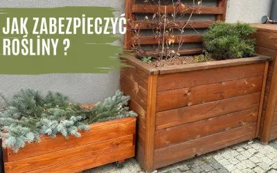 Jak zrobić termo donice, które ochronią rośliny przed zimnem