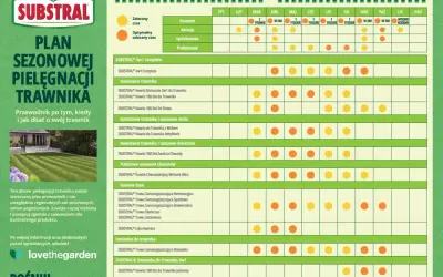 Plan pielęgnacji trawnika SUBSTRAL: jaki nawóz na trawę wybrać i kiedy go stosować, od koszenia po dosiewkę.