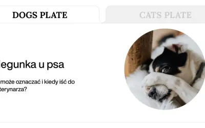 Smutny piesek z czarno-białą sierścią, który może cierpieć na biegunkę i śmierdzące gazy.