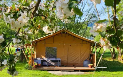 Uroczy hotel butikowy znanej pary aktorów. Namiot glampingowy otoczony kwitnącymi jabłoniami, z wygodnym tarasem i grillem.