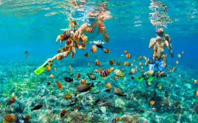 Två personer snorklar i klart, turkost vatten i Thailand, omgivna av en stim av färgglada fiskar.