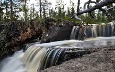 Helvetesfallet Orsa: Vatten forsar över stenar i en skogsmiljö. En död gren hänger över fallet.