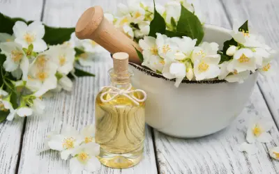 Jasminöl in einer Flasche, umgeben von Blüten. Die Jasmin Wirkung auf die Psyche ist beruhigend und stimmungsaufhellend.