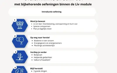 Stappenplan voor energie in balans: bewustwording, herstel, verdieping en behoud. Oefeningen voor overbelasting, overspanning en burn-out.