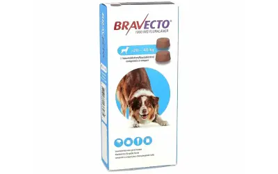 Boîte de Bravecto, une pilule pour chienne de grande taille, contenant 2 comprimés à croquer pour protéger contre les parasites.