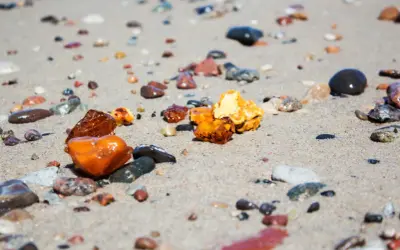Kilka kawałków bursztynu, od jasnych po ciemne, leży na mokrym piasku plaży, wśród innych kamyków.