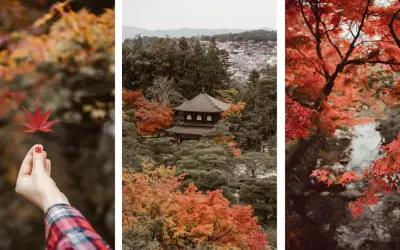Jesień w Japonii: czerwone liście klonu, tradycyjna świątynia i malowniczy strumień. Odkryj najlepsze miejsca na jesienne liście w Japonii.