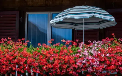 Balkon ozdobiony kwitnącymi pelargoniami w odcieniach czerwieni i różu, pod kolorowym parasolem.