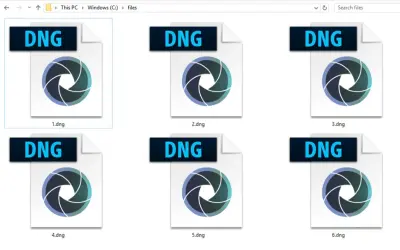 Sei file DNG, ciascuno con un'icona a forma di diaframma, sono visualizzati in una cartella di Windows.