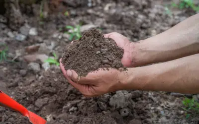 Dłonie trzymają garść ziemi, pokazując, co to jest gleba – życiodajny materiał dla roślin. Obok czerwona łopatka.