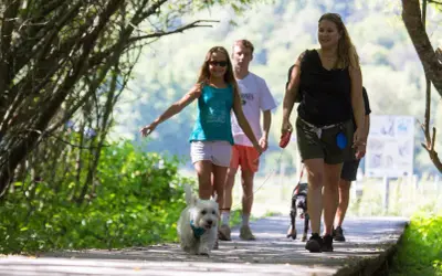 Une famille profite d'une promenade avec son puy de Sancy chien sur un sentier en bois, entourée de verdure.