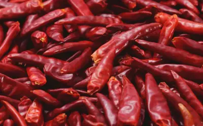 Góra suszonych, czerwonych papryczek chili, pełnych kapsaicyny, gotowych do dodania ostrości.