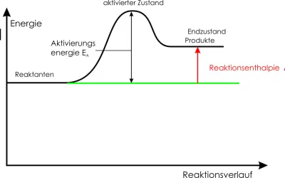 Energieprofil einer endothermen Reaktion: Reakanten steigen über Aktivierungsenergie zum aktivierten Zustand, dann zu Produkten mit höherer Energie.