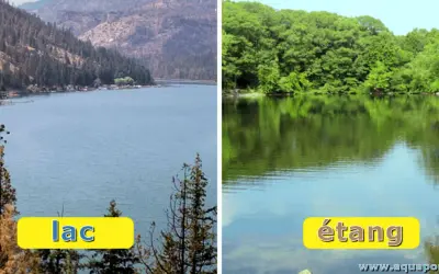 Comparaison visuelle : un grand lac bordé de montagnes et d'arbres, face à un étang plus petit entouré de verdure.