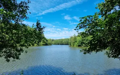 Ein ruhiger fluss im Bergischen Land, umrahmt von üppigem Grün unter einem strahlend blauen Himmel mit weißen Wolken.