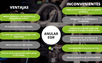 Anular EGR: ventajas como mayor potencia y ahorro, inconvenientes como más contaminación.